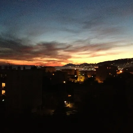 Les Pins - Le Grand Sud *